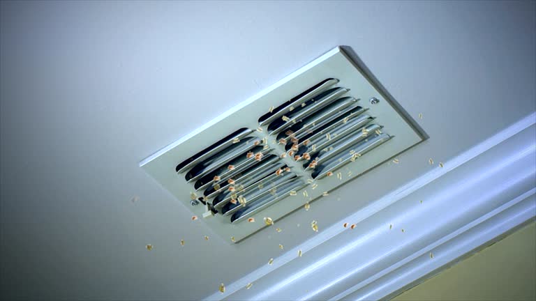 Best Best Air Duct Cleaning Company  in Lennox, SD